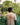 A unisex t-shirt with the text "Right Here Right Now Paradise" written on the back